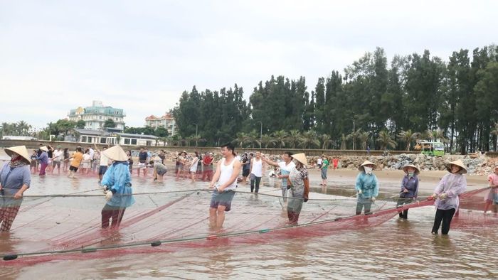 Ông Lê Xuân Hoàn, Chủ tịch UBND xã Hoằng Tiến (áo may ô trắng) kéo rùng cùng ngư dân địa phương