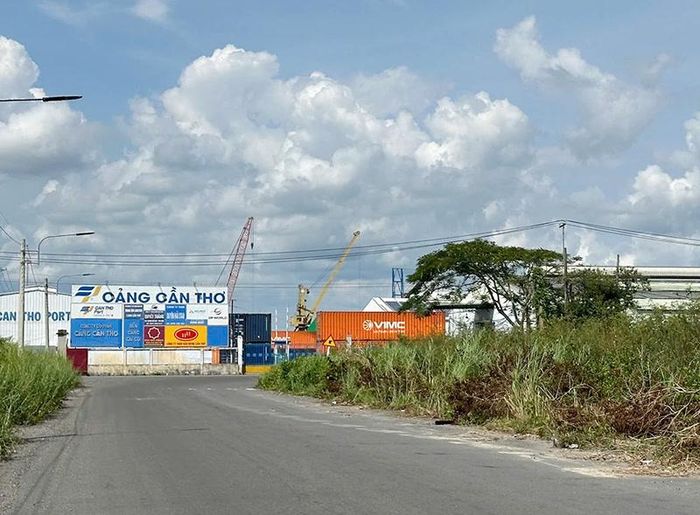 Khu logistics Cái Cui.