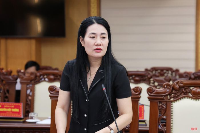 Đồng chí Nguyễn Thị Việt Hà - Phó Chủ tịch HĐND tỉnh cho ý kiến tại hội nghị.