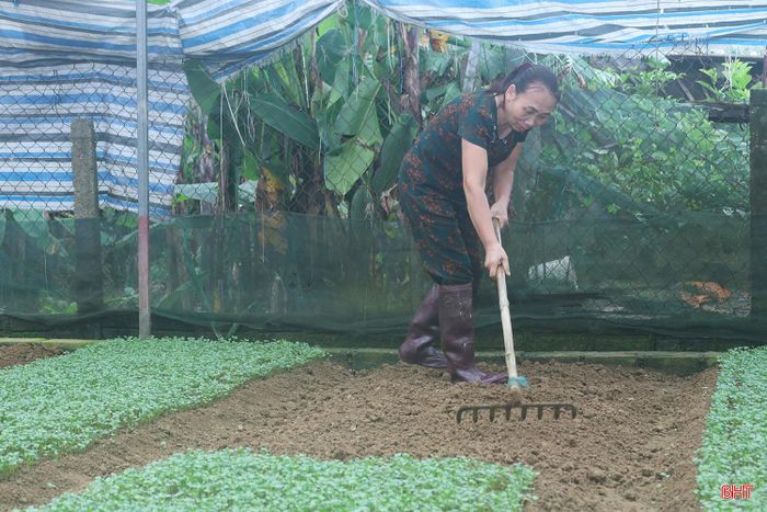 Vụ đông năm 2026, xã Đức Thọ có kế hoạch sản xuất 115 ha rau màu, trong đó gần 90 ha tại vườn hộ. Những ngày này, người dân đang tập trung làm đất, xuống giống các loại rau ngắn ngày như rau cải, rau thơm, hành lá. Nhiều hộ còn đầu tư nhà lưới, tạo điều kiện duy trì sản xuất ổn định hơn trước những bất lợi của thời tiết.