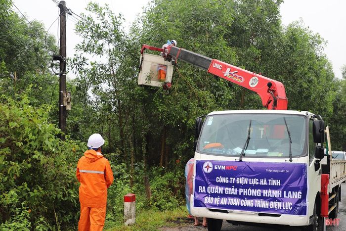 Công ty Điện lực Hà Tĩnh phát quang cây cối vi phạm hành lang an toàn trên các tuyến đường dây do Điện lực Hương Khê quản lý.