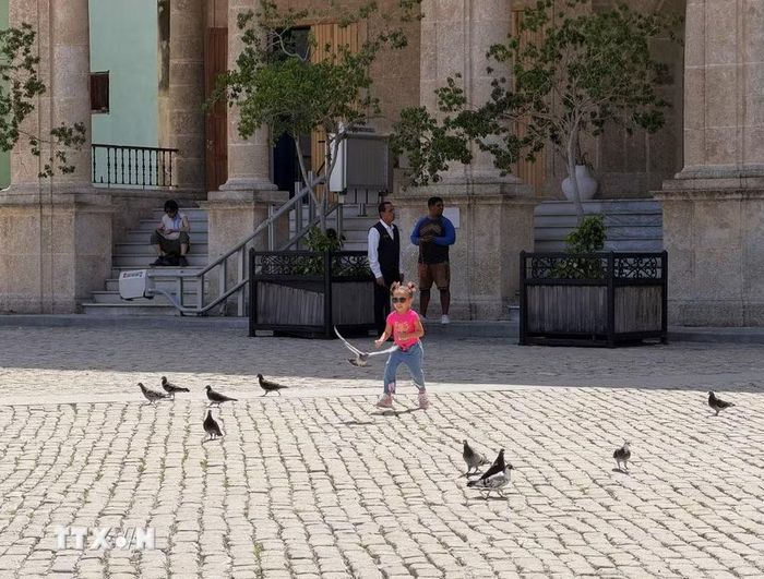 Em nhỏ thích thú đuổi theo những chú bồ câu trên Quảng trường Chim bồ câu ở La Habana. (Ảnh: Ngọc Duy/TTXVN)