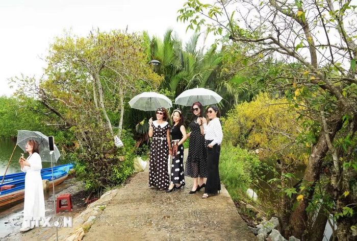 Du khách chụp ảnh trong khu vực rừng ngập mặn Rú Chá ở thành phố Huế. (Ảnh: Nguyên Lý/TTXVN)