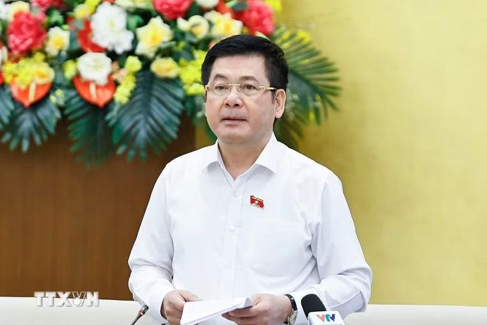 Phó Chủ tịch Quốc hội Nguyễn Hồng Diên phát biểu. (Ảnh: Doãn Tấn/TTXVN)