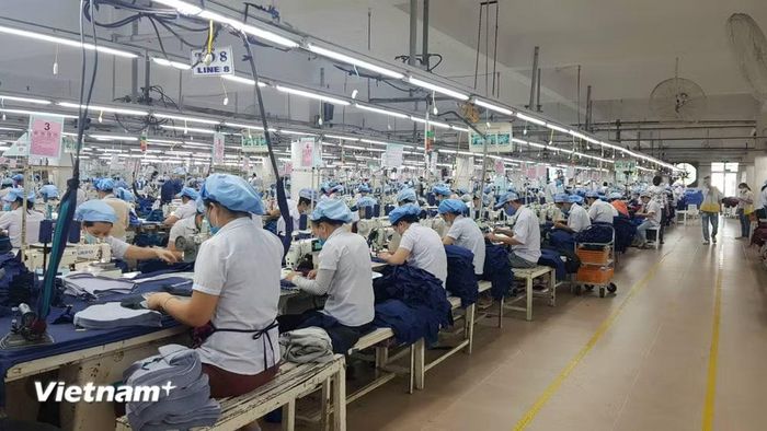 (Ảnh: Vietnam+)