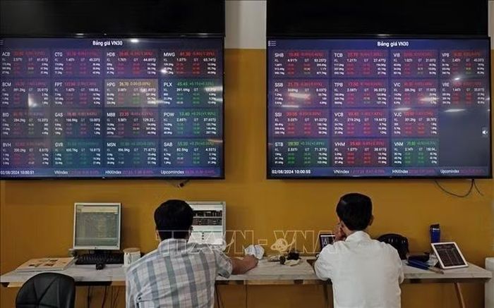 Khách hàng giao dịch tại Hội sở chính Công ty Chứng khoán Bảo Việt. Ảnh: Trần Việt - TTXVN