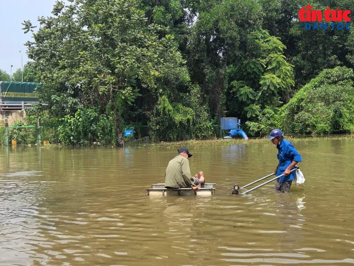 Do nước ngập kéo dài, tại khu vực này xuất hiện một số người dân hỗ trợ kéo xe và đưa người qua điểm ngập.