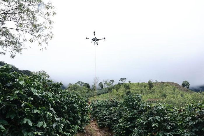 Bao cà phên được đóng gói vận chuyển.