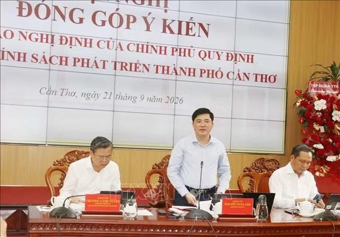 Ông Nguyễn Tuấn Anh, Phó Bí thư Thành ủy, Tổ trưởng Tổ công tác số 7 của Ban Chỉ đạo tổng kết Nghị quyết 59, Nghị quyết 45 của Ban Thường vụ Thành ủy Cần Thơ phát biểu tại hội nghị.
