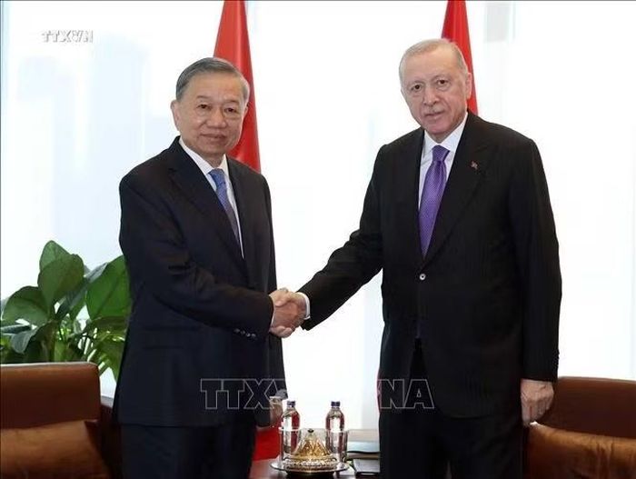 Tổng Bí thư, Chủ tịch nước Tô Lâm gặp Tổng thống Thổ Nhĩ Kỳ Recep Tayyip Erdogan. Ảnh: Thống Nhất/TTXVN