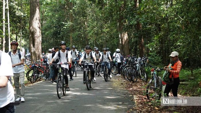 Du khách đạp xe xuyên rừng, trải nghiệm du lịch sinh thái giữa không gian xanh của vùng hồ Trị An.