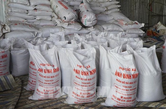 Phân hữu cơ của Hợp tác xã Dịch vụ nông nghiệp và vận tải Ánh Bình Minh được tiêu thụ trong và ngoài tỉnh Đồng Tháp. Ảnh: Nhựt An - TTXVN