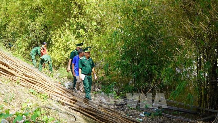Lực lượng Bộ đội Biên phòng và người dân chăm sóc, kiểm tra tình hình phát triển của “Lũy tre biên giới”. Ảnh: Nhựt An - TTXVN