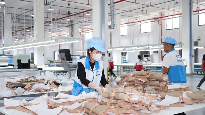 Hoạt động sản xuất tại Công ty Trách nhiệm hữu hạn Công nghệ TENFY (Việt Nam) có vốn đầu tư nước ngoài tại Khu công nghiệp TMTC, xã Bến Cầu, tỉnh Tây Ninh. Ảnh: Minh Phú - TTXVN
