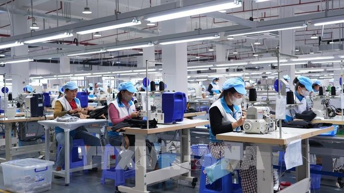 Hoạt động sản xuất tại Công ty Trách nhiệm hữu hạn Công nghệ TENFY (Việt Nam) có vốn đầu tư nước ngoài tại Khu công nghiệp TMTC, xã Bến Cầu, tỉnh Tây Ninh. Ảnh: Minh Phú - TTXVN