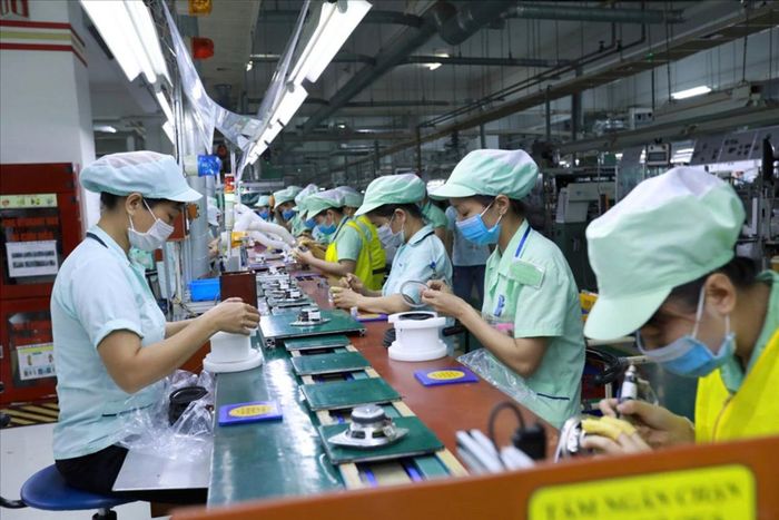 Doanh nghiệp đã khấu trừ tiền từ thu nhập của người lao động chưa đồng nghĩa với việc khoản tiền đó đã được nộp đầy đủ vào quỹ BHXH. Ảnh minh họa: Hải Nguyễn