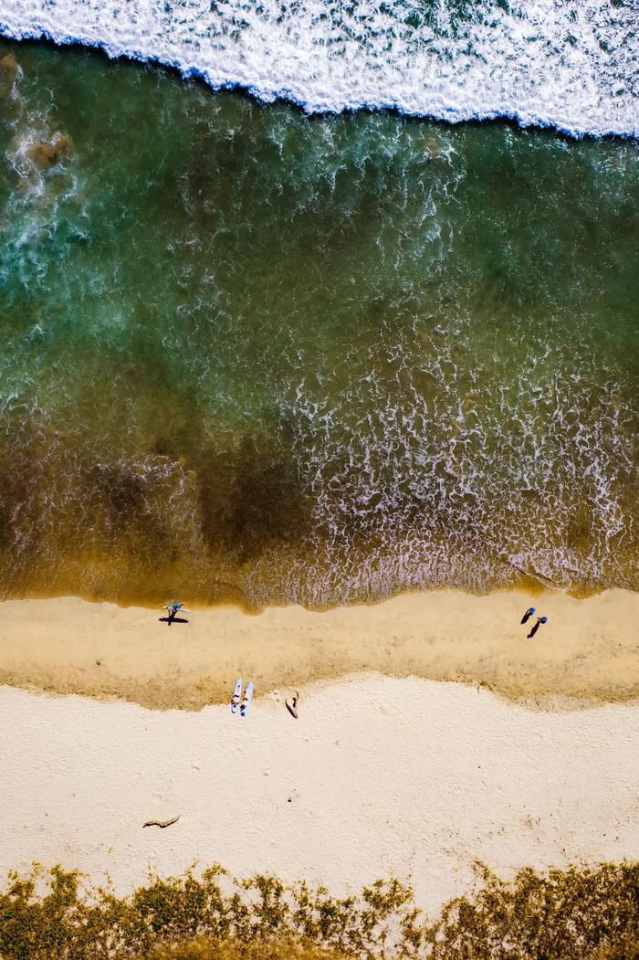 Ảnh: getty
