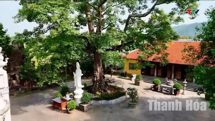 Giữa nhịp sống hiện đại, chùa Nổ vẫn giữ nét thanh tịnh, cổ kính và bình yên.