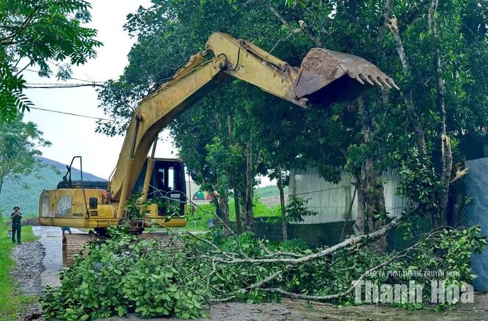 Máy móc được huy động, khẩn trương phát quang, giải phóng mặt bằng phục vụ dự án cầu Đá Đen.
