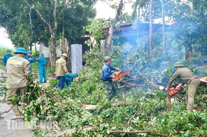 Người dân phối hợp phát dọn, tháo dỡ cây cối, tài sản trong phạm vi thực hiện dự án.