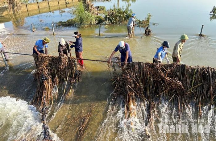 Với phương châm nước rút đến đâu, vệ sinh đến đó, các lực lượng tại chỗ của xã Kim Tân đã nhanh chóng có mặt khơi thông cống rãnh, thu gom rác thải, vệ sinh các tuyến đường.
