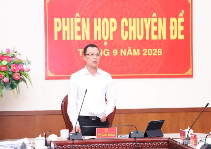 Chủ tịch UBND tỉnh Tô Anh Dũng kết luận phiên họp.