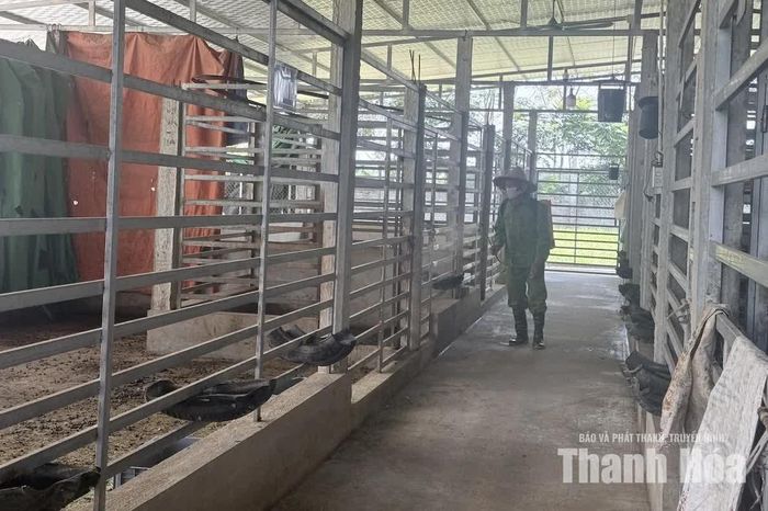 Người chăn nuôi thực hiện phun tiêu độc, khử trùng chuồng nuôi.