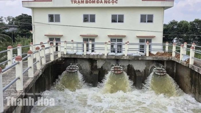 Các trạm bơm tiêu được vận hành liên tục.
