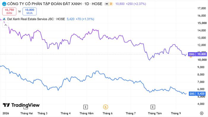  Diễn biến cổ phiếu DXG, DXS từ đầu năm đến nay. Nguồn TradingView 