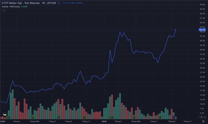 Diễn biến cổ phiếu MSR từ đầu năm 2025 đến nay. (Nguồn: TradingView)