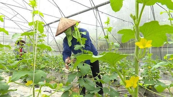 Mở rộng cơ hội tham gia bảo hiểm thất nghiệp cho lao động thời vụ, nông dân, ngư dân. Ảnh: AGP