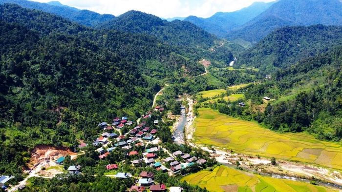 Miền Tây Nghệ An có hệ sinh thái phong phú, đa dạng. Ảnh: CSCC