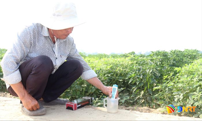 Người dân thôn Bồ Bản, xã Hòa Vang đo chất lượng nước trước khi tưới cho cây ớt. Ảnh: HOÀNG HIỆP