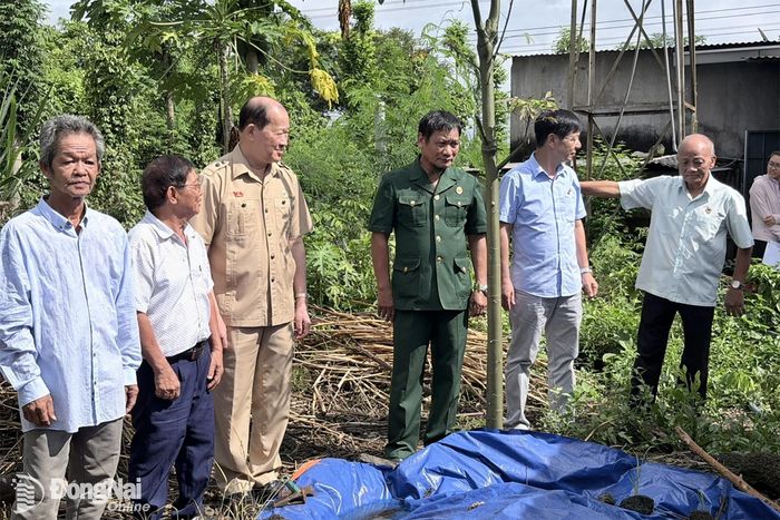 Đoàn công tác khảo sát thực tế tại các hộ gia đình tiêu biểu của phường Trị An. Ảnh: N.Hòa