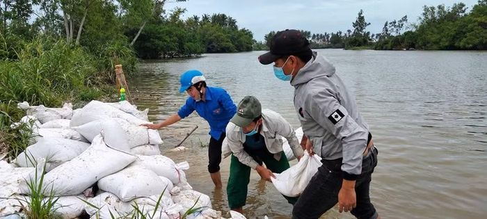  Chính quyền và người dân thôn Trinh Long Khánh khắc phục sự cố xói lở đê sông Cầu Bến Đò vào tháng 11-2025. Ảnh: ĐVCC 