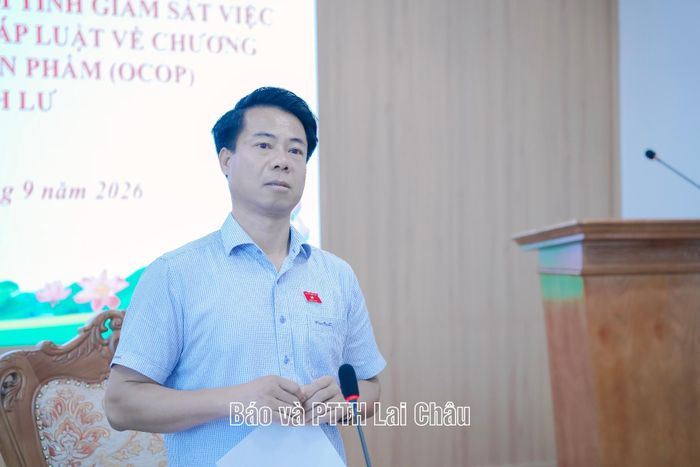 Đồng chí Hoàng Quốc Khánh - Phó Trưởng Đoàn chuyên trách Đoàn ĐBQH tỉnh, Trưởng Đoàn giám sát kết luận tại buổi giám sát.