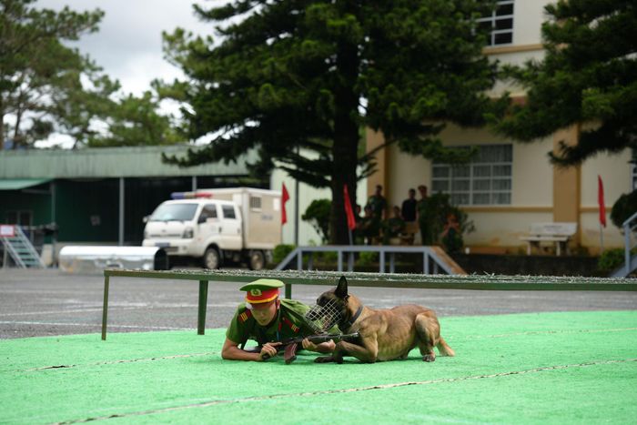 Cán bộ huấn luyện cùng chó nghiệp vụ thực hiện động tác nằm, ngồi, bò