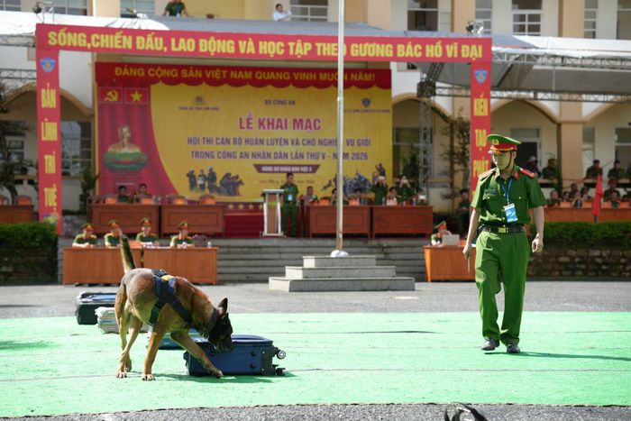 Bài thi truy tìm ma túy giấu trong vali
