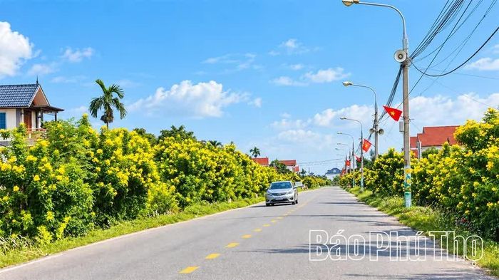 Tuyến đường đê thuộc địa phận xã Đào Xá rực rỡ sắc hoa.