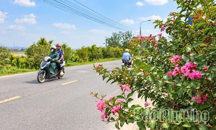 Những tuyến đường hoa được hội viên phụ nữ trồng, chăm sóc tạo nên diện mạo mới cho những miền quê.