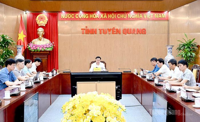 Đồng chí Phó Chủ tịch UBND tỉnh Đỗ Anh Tuấn và các đại biểu dự hội nghị tại điểm cầu tỉnh Tuyên Quang.