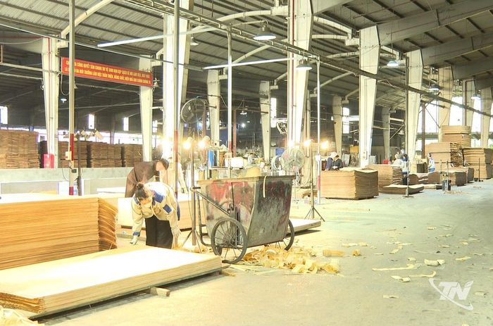 Hoạt động chế biến gỗ hiện nay gặp khó khăn về nguồn nguyên liệu, đầu vào không ổn định.
