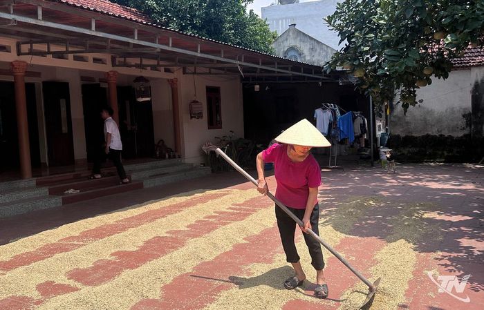 Ngôi nhà và công việc thường ngày của bà Nguyễn Thị Thu.