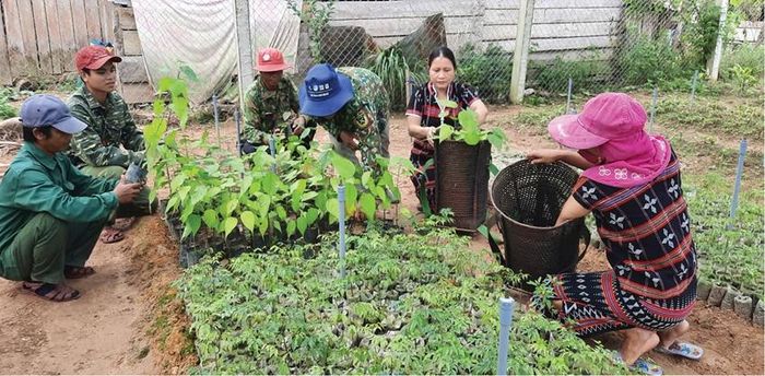 Cộng đồng A Tin chuẩn bị giống cây bản địa để trồng rừng. 
