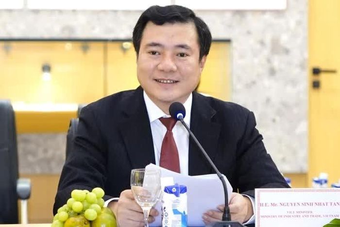 Ông Nguyễn Sinh Nhật Tân - Ảnh: VGP