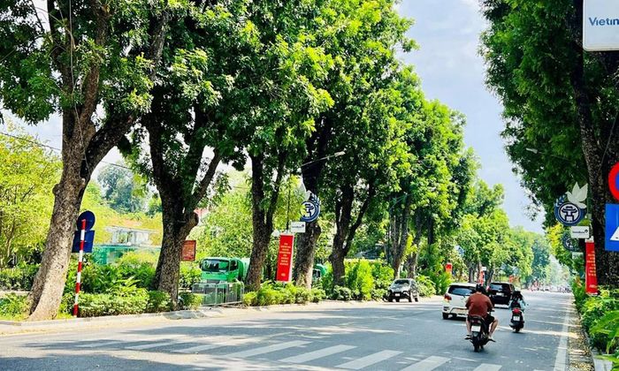 UBND nhân dân cấp tỉnh có trách nhiệm quản lý thống nhất hệ thống cây xanh trên địa bàn tỉnh. (Ảnh minh họa)