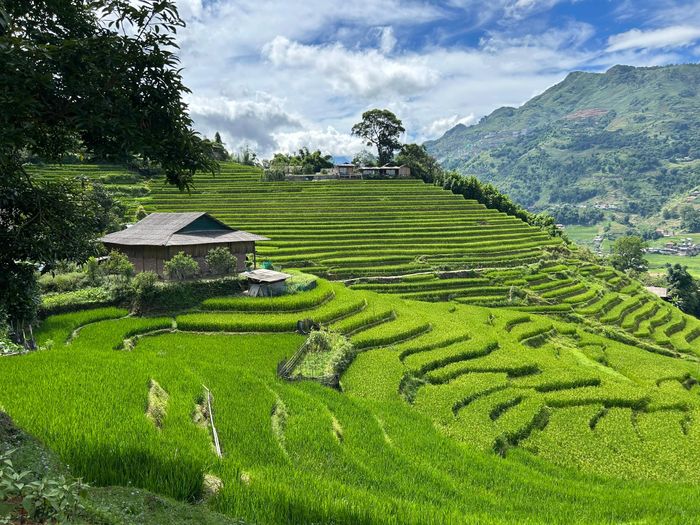 Trải nghiệm du lịch độc đáo cùng cảnh quan tại Tả Van chính là lợi thế lớn cho phát triển kinh tế du lịch gắn với nông thôn mới địa phương.