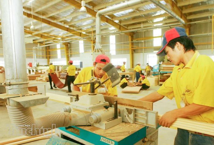 Tổng kim ngạch xuất nhập khẩu trong 8 tháng năm 2026 của TP. Hồ Chí Minh đạt gần 138 tỷ USD. Ảnh: Lê Toàn