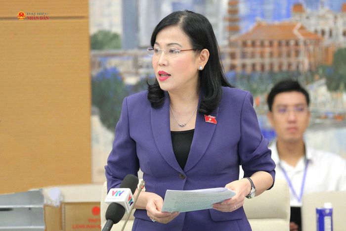 Chủ nhiệm Ủy ban Khoa học, Công nghệ và Môi trường Nguyễn Thanh Hải trình bày Báo cáo thẩm tra sơ bộ dự án Luật
