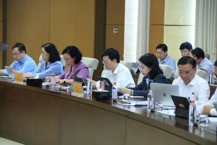 Các đại biểu tham dự phiên giải trình. Ảnh: Trọng Hiếu